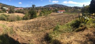 Looking Samaipata - 9