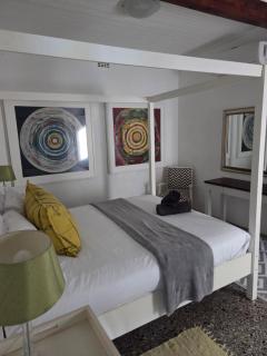 Ocean rush barracuda - 1