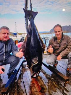 Gjesvaer Fishing - 3