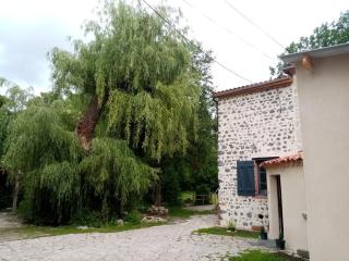 Le Moulin la Paille - 7