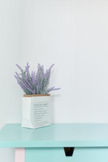 솔루나하우스 - 1