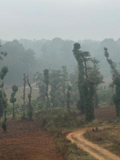 Pearl Nest, A Homely Stay Amid Coffee Estates - 2