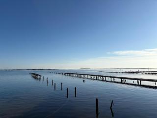 L'orée des rêves - 1