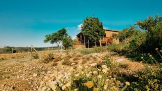 Breathe Accommodation - Oudtshoorn - 3