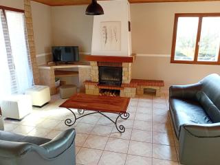 Grand Appartement avec cheminée dans maison, parking gratuit - Mionnay - 5