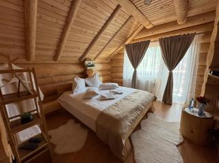 Chalet in Muntii Vrancei - 7