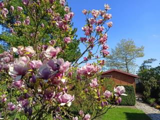 Domek 1 w Rancho Żnin - 2