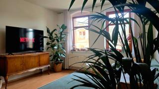 Zentrale & ruhige Stadtwohnung nahe Hbf und Uni - 9