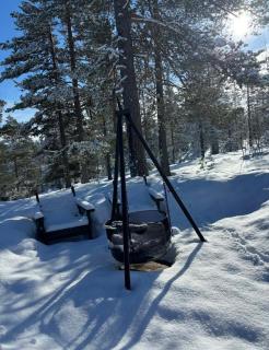 Cozy mountain cabin 4 bedrooms Ski & hiking & Alpine - 1