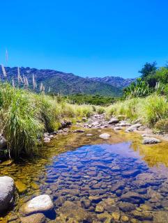Cabañas de Montaña San Miguel - Cortaderas - 2