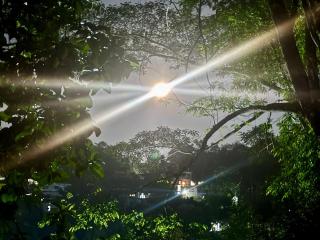 Dhunumadalawa Jungle Paradise Hostel - 8