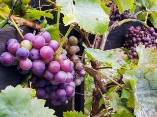 4 person holiday home in INGARÖ - 7