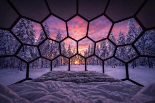 SKOG - Aurora Igloos Resort - 8