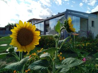 Il Giardino di Sofia B&B - 1