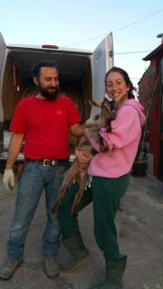 Country house on the hills of Chieti - 4