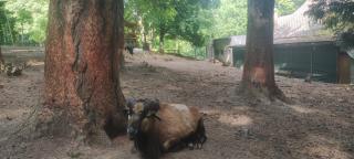 Déjá Vu Szállás & Rendezvény Zirc - 4