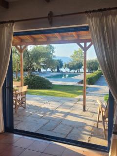 Beachfront cottage house in olive grove - 1