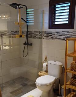 Location Maison Ti kay Kalina avec piscine - 7