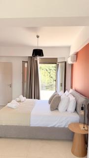 Agia marina elaia luxury villa - 8