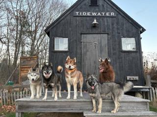 Tidewater on the river - 9