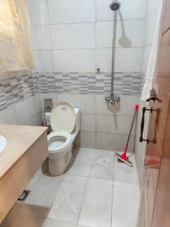 The Aristocrat Manor - 8