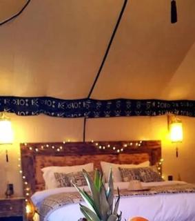 Vega Luxury Desert Camp - 5