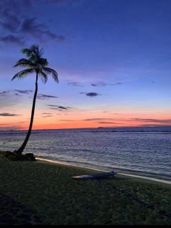Nice and cozy apartment in Playa Escondida - 2