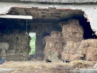 The Stone Canvas - 3