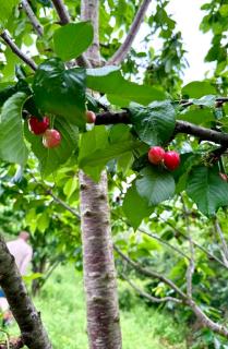 The Stone Canvas - 2