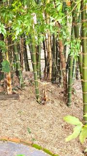 Residencia La Serena Amor por la naturaleza - 4