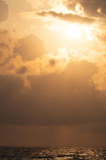 Apartment with sea view in Batumi - 8