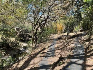 Apartamento vista al bosque, rea BBQ, trekking, ro, piscinas, jacuzzi y gym - 3