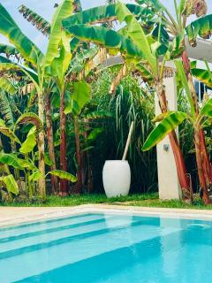 Luxury LIONS VILLAS ZANZIBAR - with Private Cook & Infinity Pools - Kiwengwa - 4