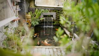 Flamboyan 2 Homestay - 6