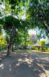 Casa Valencia resort - 8