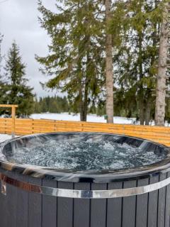 La Știubei Cabin - 3