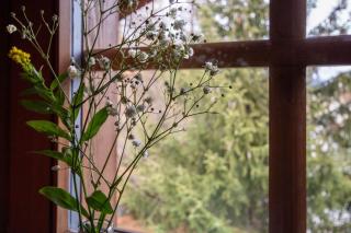 Angela Appartamenti - 3