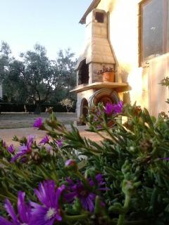 Holiday home near Pula - 9