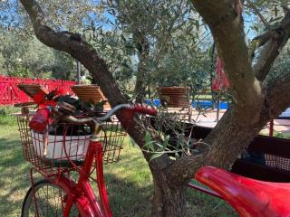 Holiday home near Pula - 4