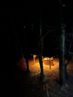 W Sam Las Polanówka - 1