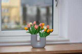 MoHost Brown - Your sweet spot in Brasov - 1