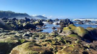 Les Pierres à Chaux pieds dans l eau avec piscine - 2