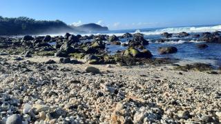 Les Pierres à Chaux pieds dans l eau avec piscine - 4