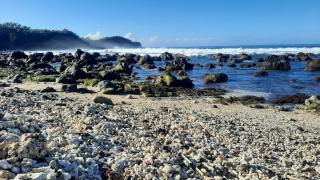 Maison Familiale Vue Océan - Les Battants de Lames - 5