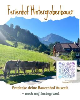 Ferienhof Hintergrabenbauer - 2