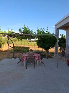 The House In The Olive Grove - 5