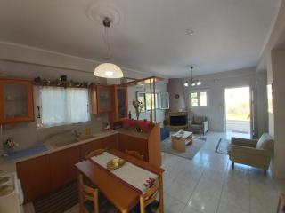 The House In The Olive Grove - 8