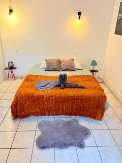 Appart proche gare + Parking , Impasse tranquille - 9