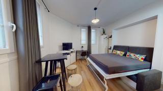 chaleureux studio Maillart centre ville - 4