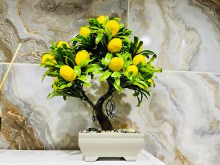 Studio Room Chisinau - 6